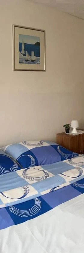 Ubytování U Ropáků，位于Horní Slavkov的酒店