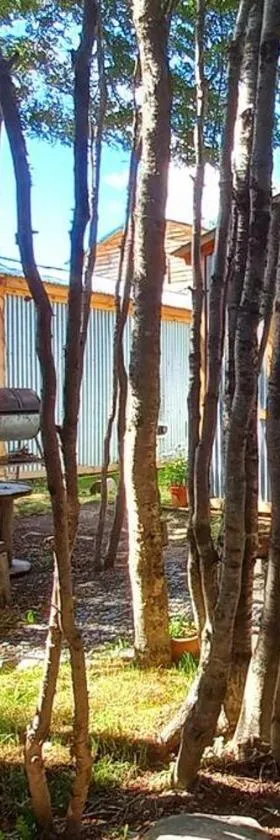 La Casita de Tolhuin，位于托尔胡因的酒店