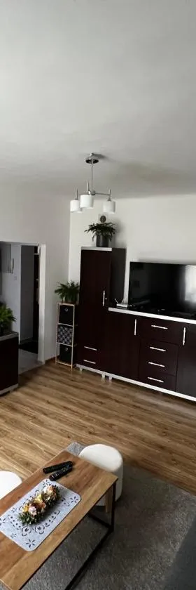 Apartament Paprotka，位于斯卡日斯科-卡缅纳的酒店