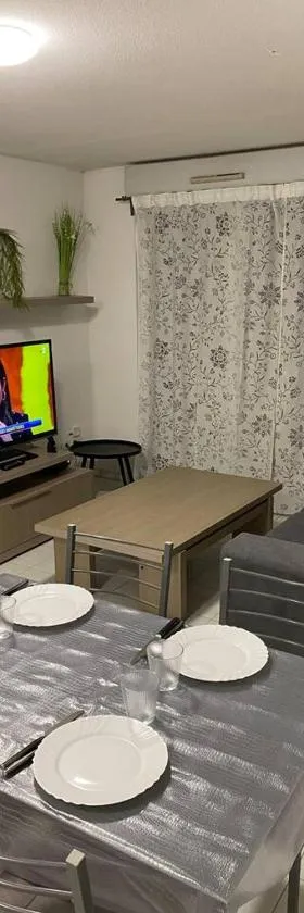 Appartement Seine 391，位于塞纳河畔诺让的酒店