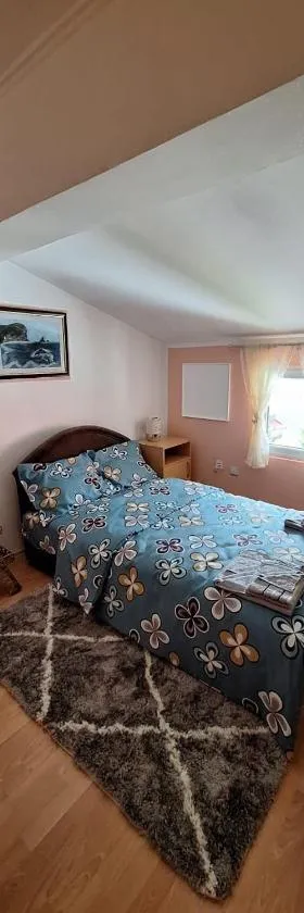 Apartment DUCA，位于普卢日内的酒店