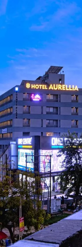 HOTEL AURELLIA，位于Sarkhej的酒店