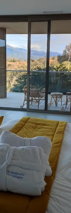 La sentinelle du Vallespir, Spa Sauna，位于Vivès的酒店
