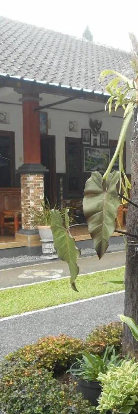 Kadek Homestay，位于Besakih的酒店