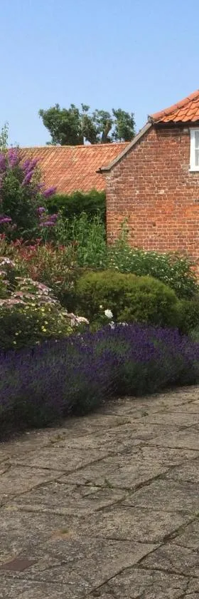 Dolls House Cottage，位于Hilborough的酒店
