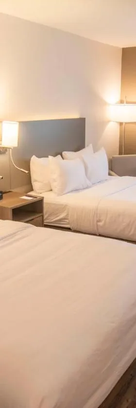 Comfort Inn Battle Mountain - Midway Between Elko and Winnemucca，位于巴特尔芒廷的酒店