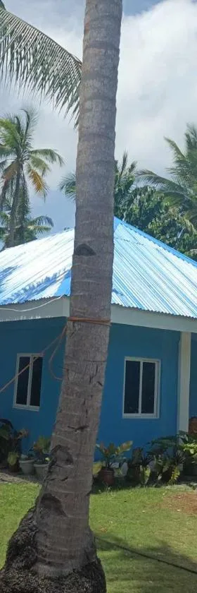 Cabagnow Homestay，位于安达的酒店
