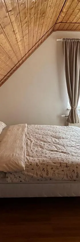 Apartmán Jako u Babičky，位于蒂萨的酒店