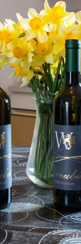 Winaria，位于Erdut的酒店