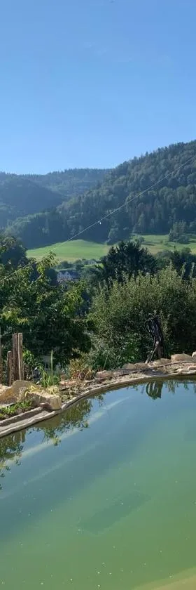 Chez Svanette B&B Villa Sonnglück，位于Zullwil的酒店