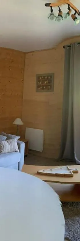 A 5 minutes a pied du centre , Appartement T2 Font-Romeu，位于丰罗默奥代洛维亚的酒店
