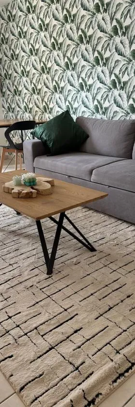 Appartement entièrement rénové，位于鲁瓦的酒店