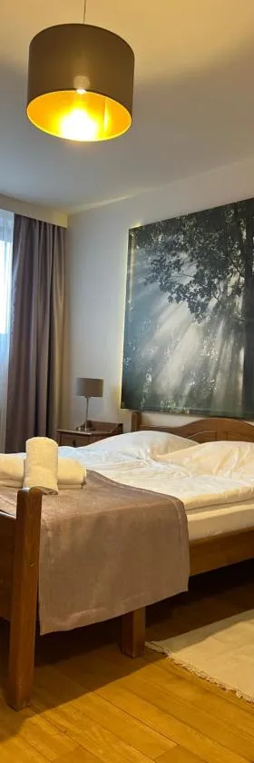 Hotel Vesta Centrum Konferencyjno Wypoczynkowe，位于耶莱希尼亚的酒店