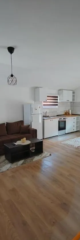 Apartman Tara，位于阿然德洛维克的酒店