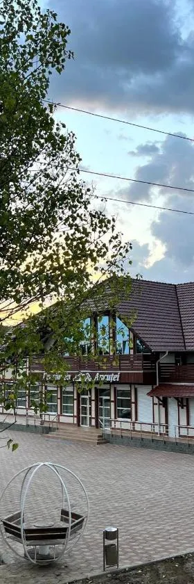 Pensiunea Ancuței，位于Şerpeni的酒店