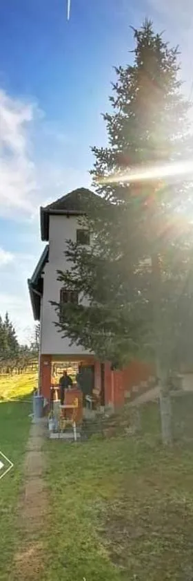 Vila Gorocvet，位于Sremska Kamenica的酒店