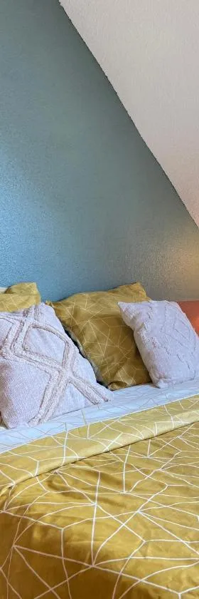 Bel appartement 2 pièces，位于Soufflenheim的酒店