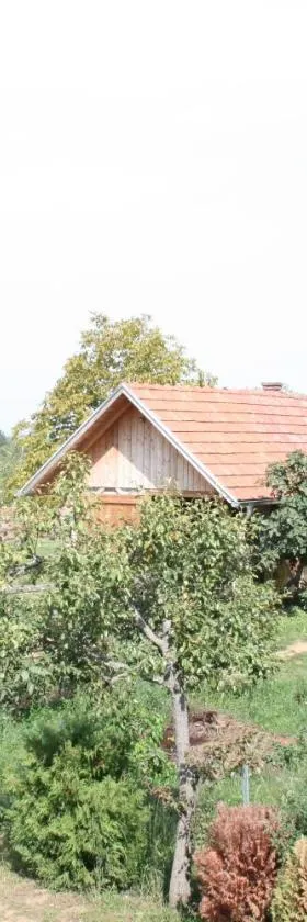 Farmica, Bed&Breakfast, Bazen izdvojen nekoliko minuta hoda，位于Ðurđevac的酒店