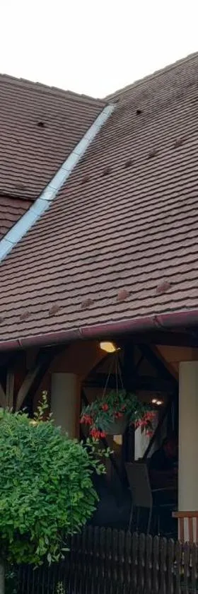 Korona Panzió，位于鲍洛通拜雷尼的酒店