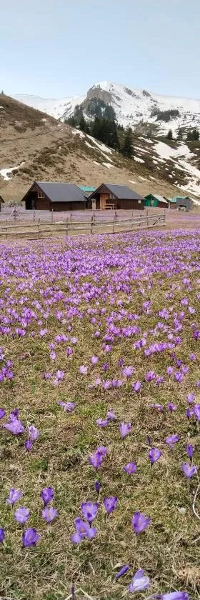Katun Siska Medna Dolina，位于贝拉内的酒店