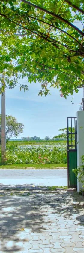 New Cormorant Lake Resort & Yala Safari Place，位于蒂瑟默哈拉默的酒店