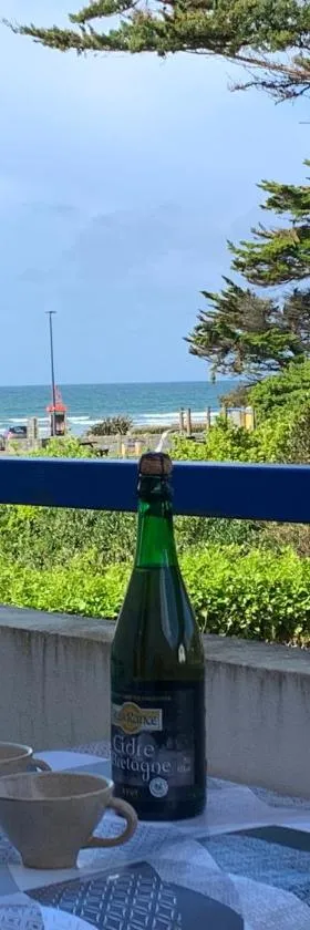 Studio duplex vue mer 100m de la plage，位于Saint-Nic的酒店