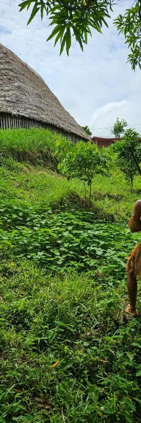 Resguardo indigena Yagua，位于Internado Santa Sofia的酒店