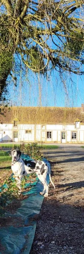 Chambre d'hôtes au Haras d'Agathe et ses princes，位于Les Barils的酒店