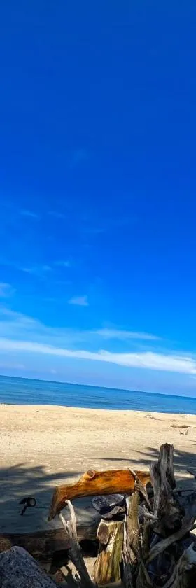 Green Garden Beach Resort, Sipalay，位于锡帕莱的酒店