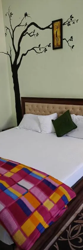 Joshi Holiday Home Stay，位于兰斯顿的酒店