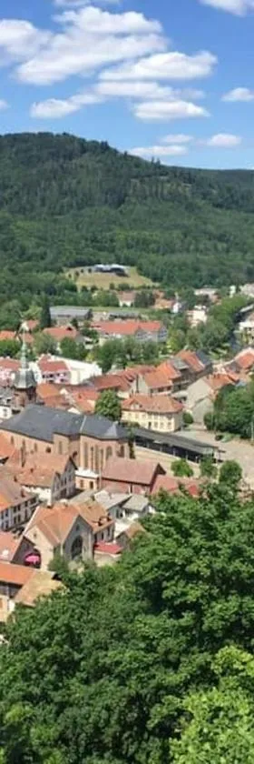 Schirmeck centre appartement au pied du château，位于斯希尔梅的酒店