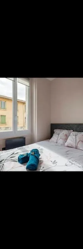 Appartement totalement rénové 4 couchage proche Lyon，位于隆河省的酒店