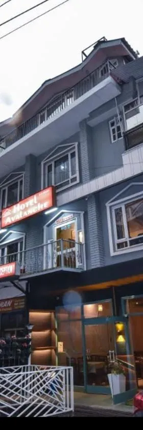 Hotel Avalanche，位于西姆拉的酒店