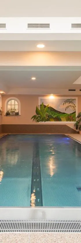 Hotel Zum Schwarzen Bären，位于多瑙河畔埃默斯多夫的酒店