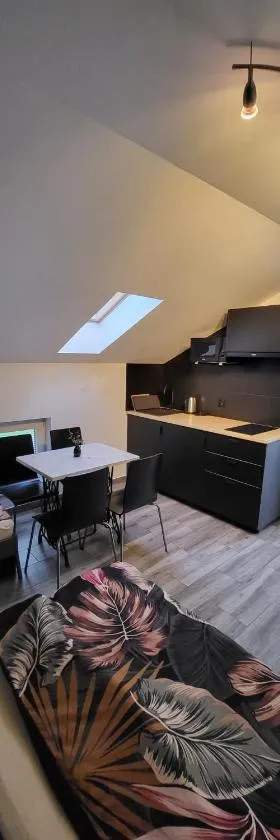 Pokoje przy Zamku，位于Podzamcze的酒店
