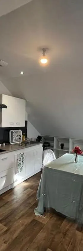 Le garden cottage 20m² 2 personnes，位于Flers-lez-Lille的酒店