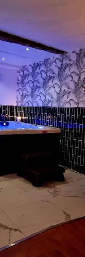 Romantique room St Michel de Lanes (love room)，位于圣米歇尔德勒恩的酒店