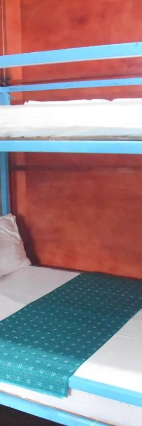 Blue Bed Hostel，位于纳奥亚的酒店