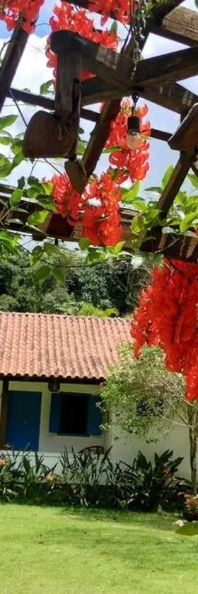 Sítio Canto da Roça Com Cachoeira，位于多明戈斯马丁斯的酒店