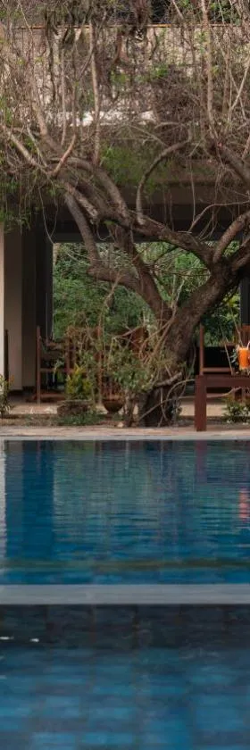 Lario Resort Sigiriya，位于锡吉里亚的酒店