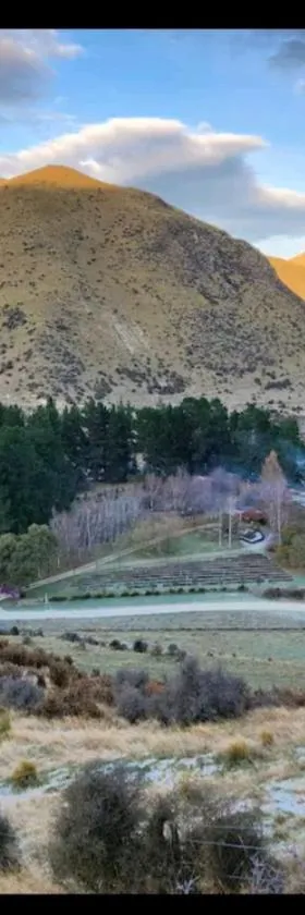 Danseys Pass Lavender Farm，位于Tokarahi的酒店