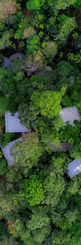 The Hive, Wayanad，位于瓦亚纳德的酒店