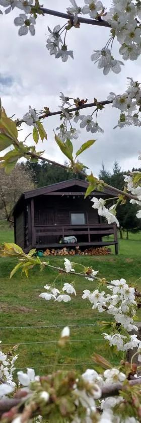 Chata na samotě, Šumava，位于Vrhaveč的酒店