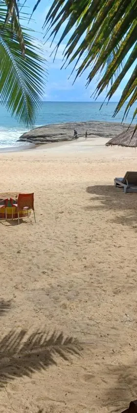 Hotel Palm Rock Beach，位于圣佩德罗的酒店