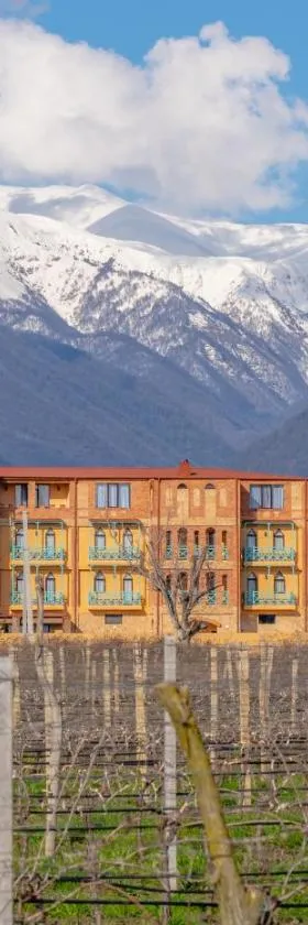 Burki Castle & Cellar，位于克瓦雷利的酒店