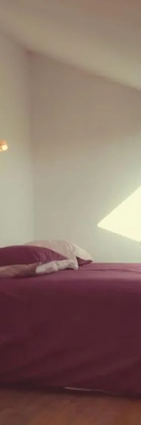 Appartement Corse Extrême-Sud，位于莫纳奇亚道勒内的酒店