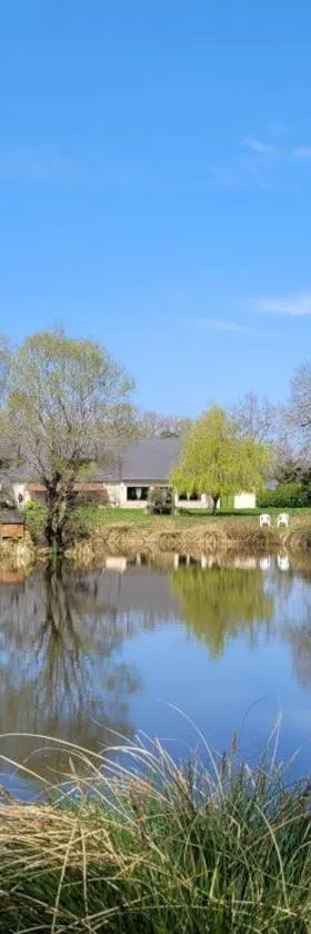 Le Domaine des Sources，位于Landévant的酒店