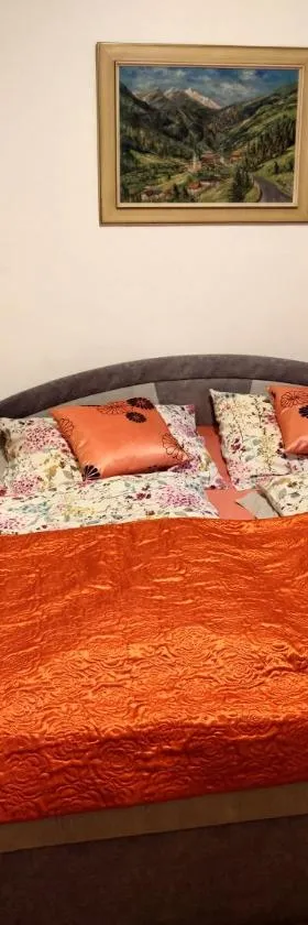 Apartmán Zukalka，位于Vítkovice的酒店
