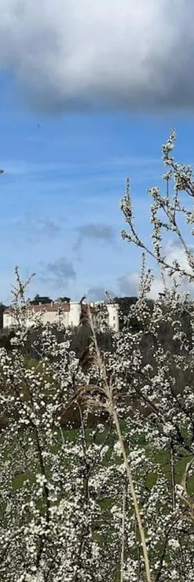 le Gîte de Marie Ray Sur Saône，位于Ray-sur-Saône的酒店