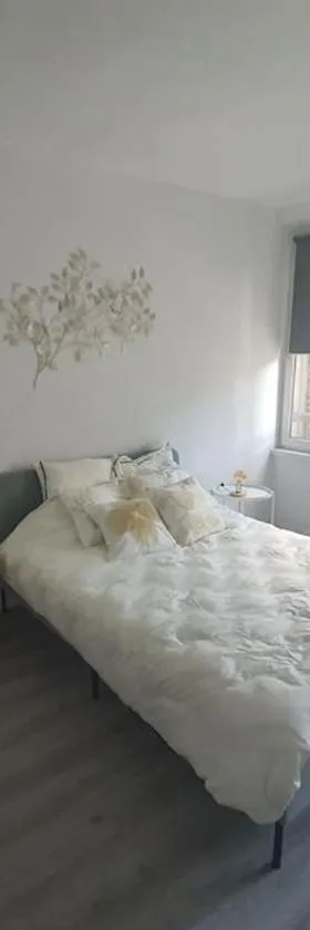 Sully sur Loire : appartement centre ville，位于卢瓦尔河畔叙利的酒店